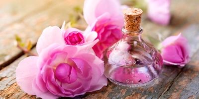 
اکسیر رفع عطش؛ رازهای پنهان سکنجبین در طب سنتی