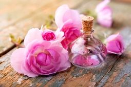 روزی چقدر گلاب بخوریم؟ / این افراد نباید گلاب مصرف کنند