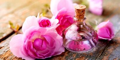 روزی چقدر گلاب بخوریم؟ / این افراد نباید گلاب مصرف کنند