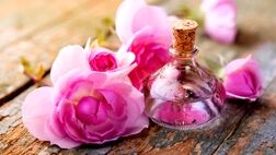 روزی چقدر گلاب بخوریم؟ / این افراد نباید گلاب مصرف کنند
