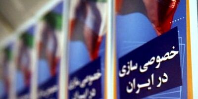 دولتی ماندن شرکت‌ها اقدام درستی نیست