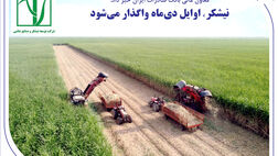 «نیشکر» اوایل دی‌ماه واگذار می‌شود
