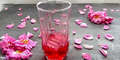 ۲ نوشیدنی طبی مقوی کبد
