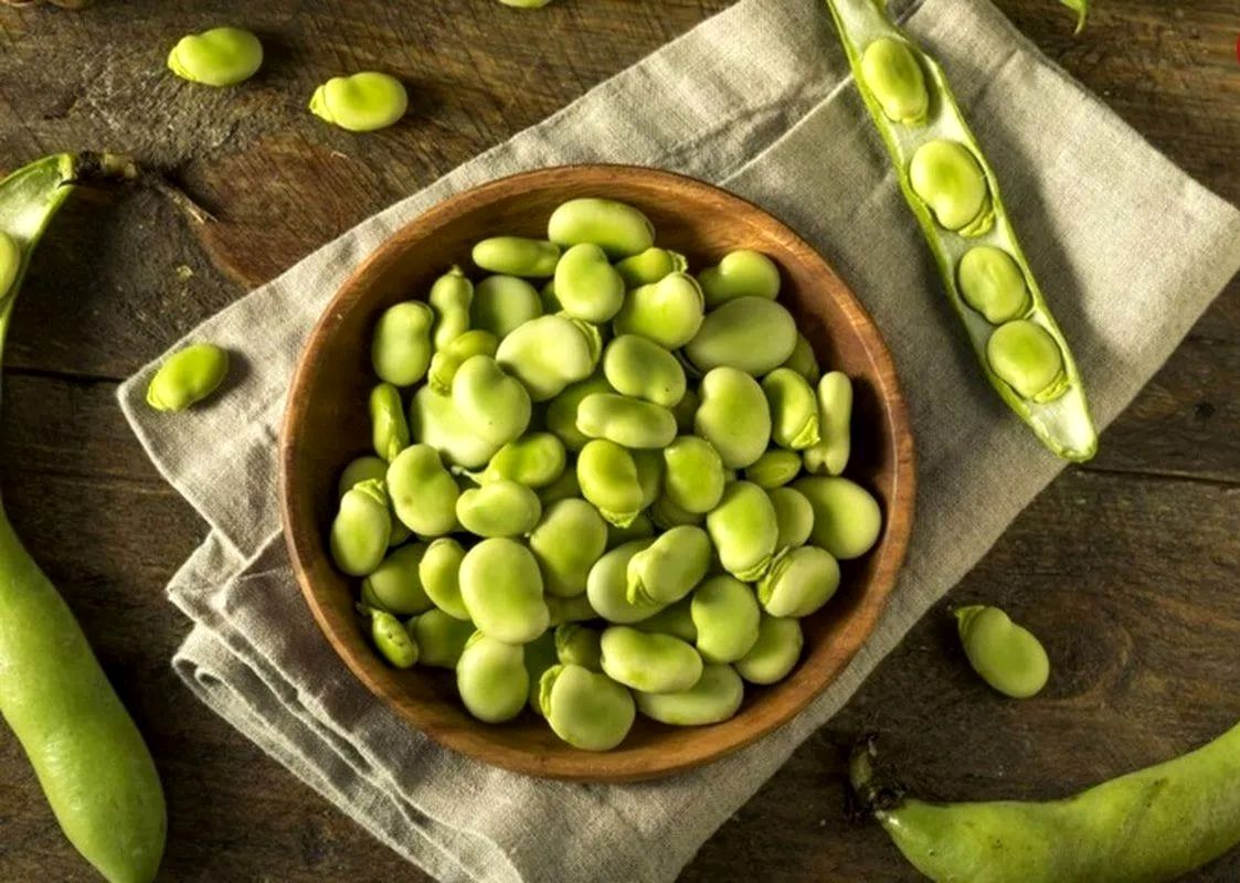 باقالی؛ خوراکی محبوب یا قاتل خاموش؟ / خوردن باقالی برای این افراد مرگبار است!