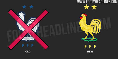خروس جدید پیراهن تیم ملی فرانسه 175 یورو!