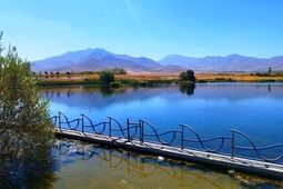 قروه؛ سرزمین اژدهای سنگی و چشمه‌های شفا
