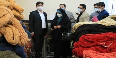 ۲۶۱ هزار بافنده فرش تحت پوشش بیمه تأمین اجتماعی قرار گرفتند