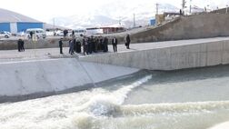 بازگشت زندگی در دریاچه ارومیه