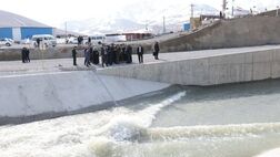 بازگشت زندگی در دریاچه ارومیه