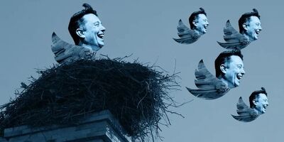 ایلان ماسک برای مدیریت  توییتر دنبال یک  احمق است!