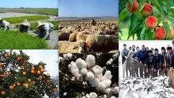 تسهیلات ارزان قیمت اشتغال به روستاییان ارائه می شود