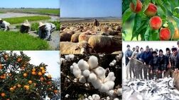 تسهیلات ارزان قیمت اشتغال به روستاییان ارائه می شود