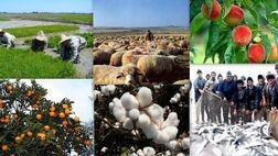 تسهیلات ارزان قیمت اشتغال به روستاییان ارائه می شود