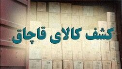 کشف ۱۵۰ میلیارد غذای حیوانات قاچاق در تهران
