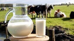 چرا لبنیات باعث آسیب عصبی در بیماران ام اس می‌شود؟
