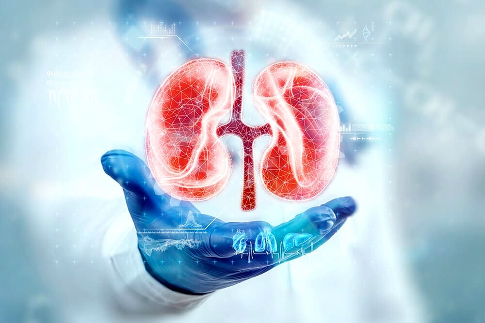 ۲ خطر خاموش برای کلیهها