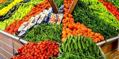 افزایش ۱۰۰ درصدی هزینه‌ تولیدات کشاورزی