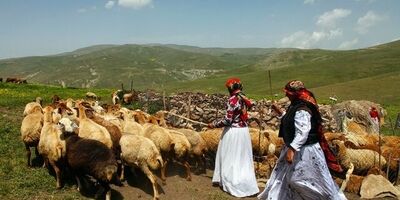 پوشش بیمه‌ای۸۶۰۰ زن سرپرست خانوار روستایی و عشایر