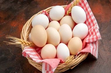 قیمت هر شانه تخم مرغ به ۲۵۰ هزارتومان رسید