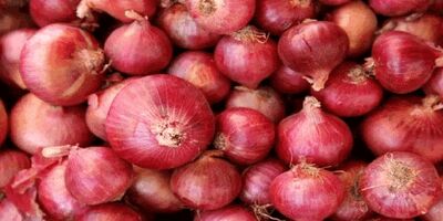 قیمت پیاز ۳ هزار تومان کاهش یافت