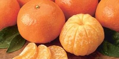خوردن این میوه پاییزی را از دست ندهید