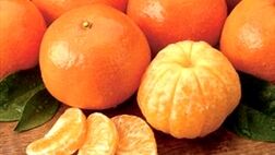 چه کسانی نباید پرتقال و نارنگی بخورند؟