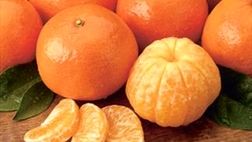 خوردن این میوه پاییزی را از دست ندهید