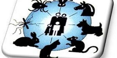 بیماری‌های مشترک انسان و دام توان اقتصادی سازمان‌های بیمه‌گر را به چالش می‌کشند 