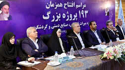 تکلیف بیمه هنرمندان صنایع دستی تا شهریور مشخص می‌شود