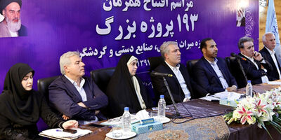 تکلیف بیمه هنرمندان صنایع دستی تا شهریور مشخص می‌شود