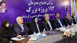 تکلیف بیمه هنرمندان صنایع دستی تا شهریور مشخص می‌شود