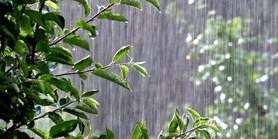 تداوم بارش باران در برخی مناطق کشور تا پنجشنبه
