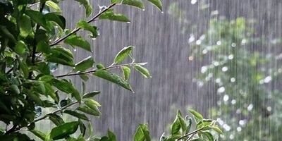 تداوم بارش باران در برخی مناطق کشور تا پنجشنبه
