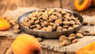 هسته زردآلو: گنجی پنهان یا خطری مهلک؟