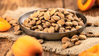 هسته زردآلو: گنجی پنهان یا خطری مهلک؟