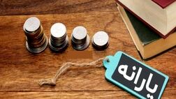 پرداخت وام ۵۰ میلیون تومانی با کارت یارانه تکذیب شد