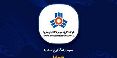 یک عضو جدید به هیات مدیره وساپا پیوست