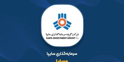 یک عضو جدید به هیات مدیره وساپا پیوست