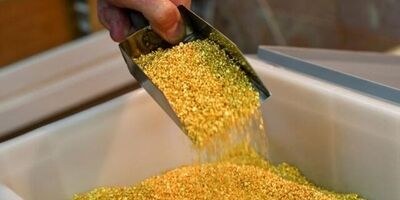 طلای جهانی به نقطه حساس رسید
