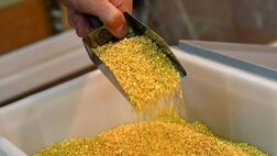 طلای جهانی به نقطه حساس رسید
