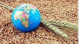مرگ سالانه بیش از ۶۰۰ میلیون نفر بر اثر مصرف غذای آلوده