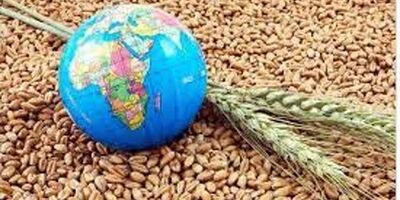 اجرای ۵۰ پروژه ملی در سه حوزه اولویت‌دار تامین امنیت غذایی در کشور

