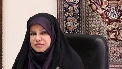 ۲۶۱ هزار قالی‌باف درخواست بیمه تکمیلی دارند
