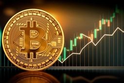بیت کوین به بالای ۹۳ هزار دلار رسید
