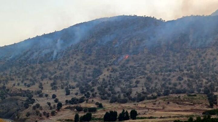 
دستور ویژه برای اطفای حریق در چالوس