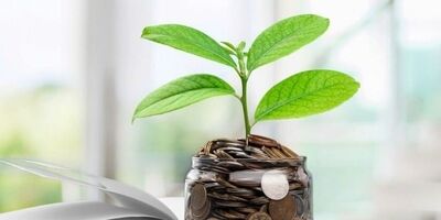 بازار سرمایه، پایه‌ای مناسب برای اقتصاد هنر 
