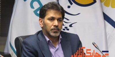 شرکت‌های بیمه‌ای نمی‌توانند صددرصد شعب خود را حذف کنند