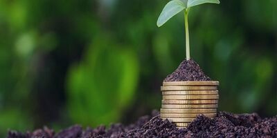 اختصاص ۱۲ همت برای بیمه محصولات کشاورزی 