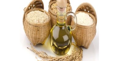 برنج و روغن دوباره مشمول ارز ترجیحی شد