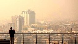 در زمان آلودگی هوا با گردوغبار، چه بخوریم تا کمتر آسیب ببینیم؟
